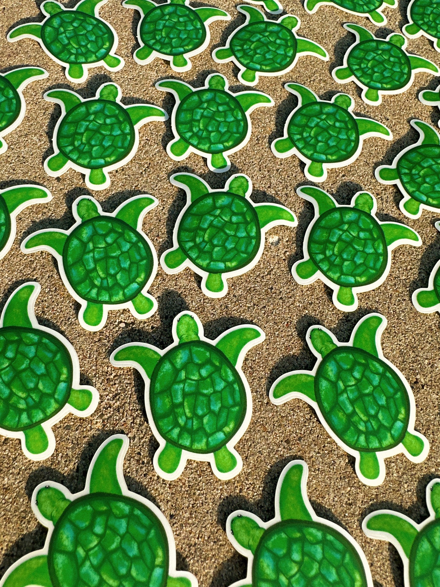 'Turtle' Sticker